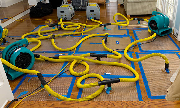 Professional Crawl Space Water Removal technician working in Pascoag, RI